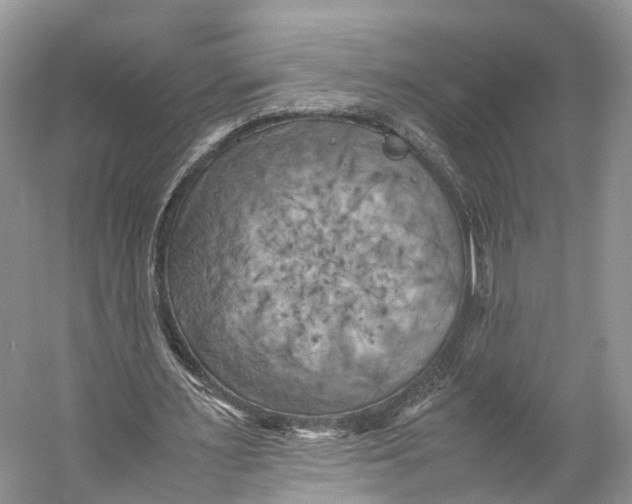 X0000053130483200508081322