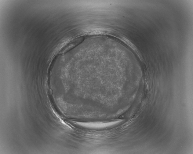 X0000053130485200508081322