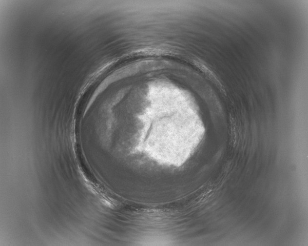 X0000053130486200508081322