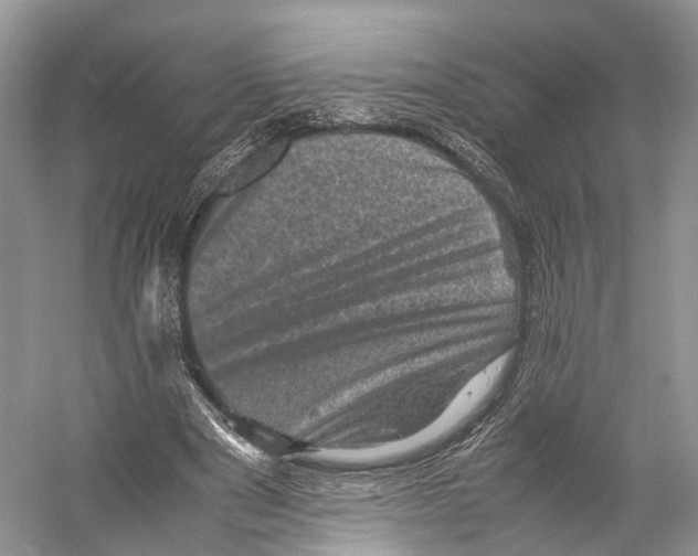 X0000053130489200508081322
