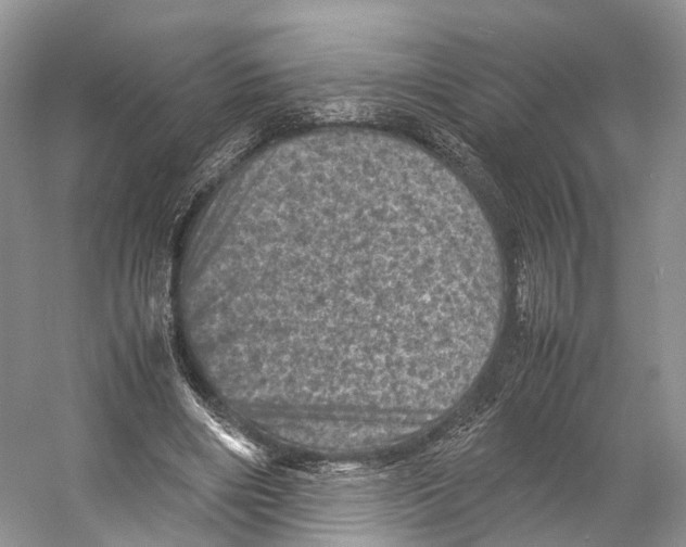X0000053130490200508081322