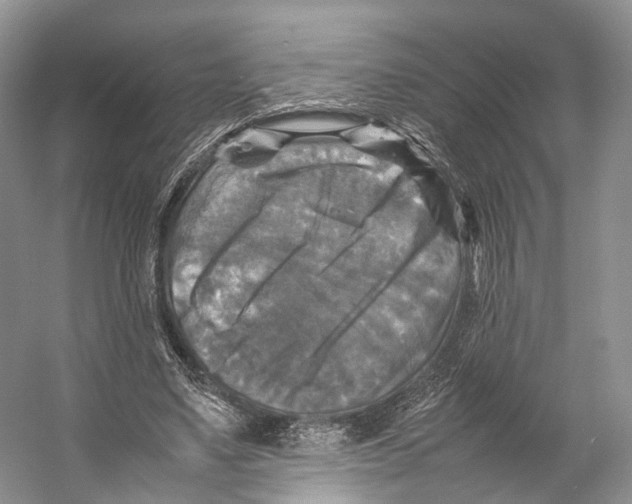 X0000053130491200508081322