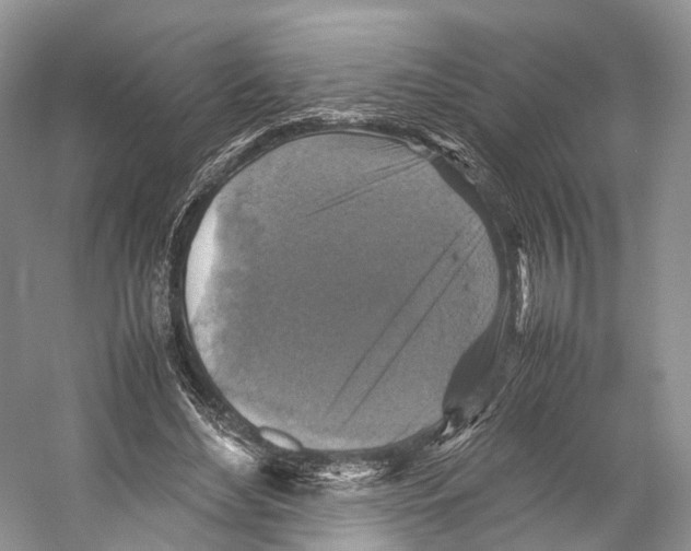 X0000053130492200508081322
