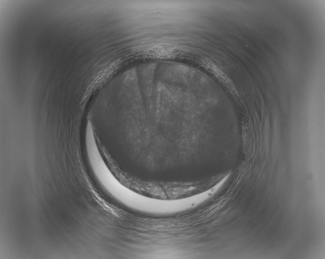 X0000053130493200508081322