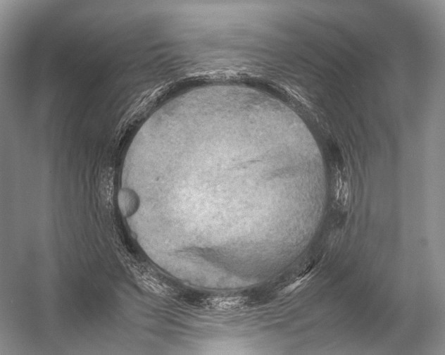 X0000053130495200508081322