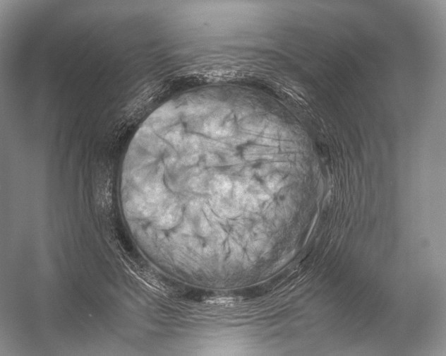 X0000053130499200508081322