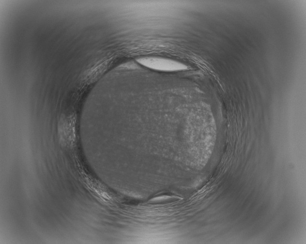 X0000053130501200508081322