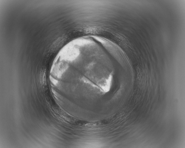 X0000053130502200508081322