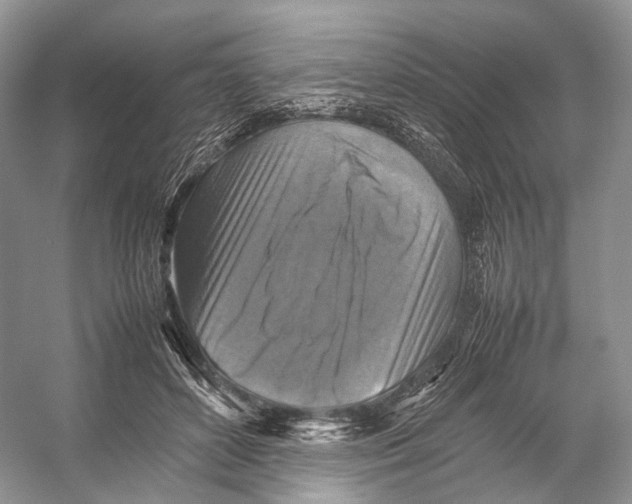 X0000053130504200508081322