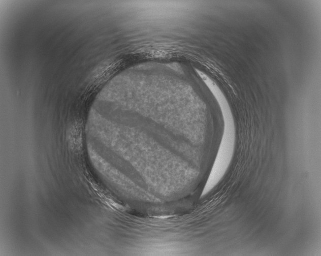 X0000053130505200508081321