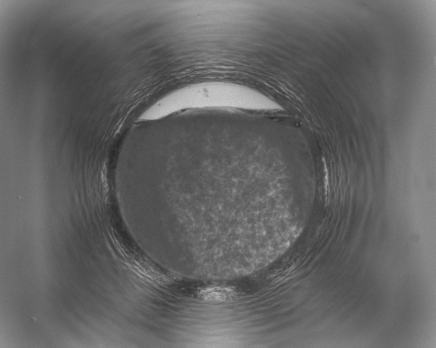 X0000053130508200508081321
