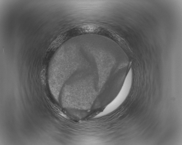 X0000053130509200508081321