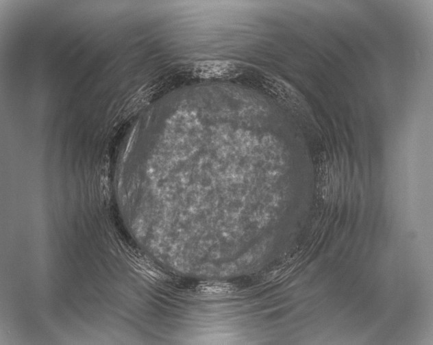 X0000053130510200508081321