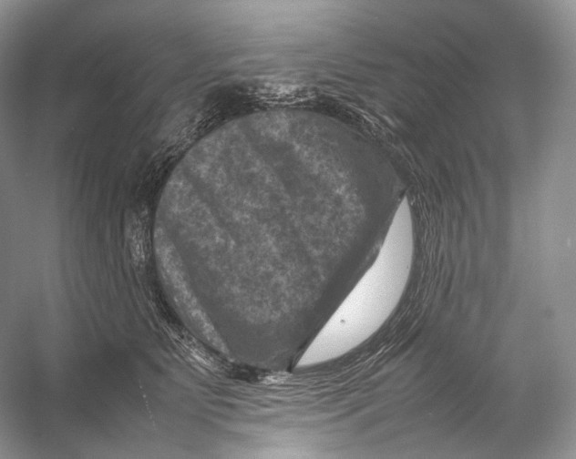 X0000053130515200508081321