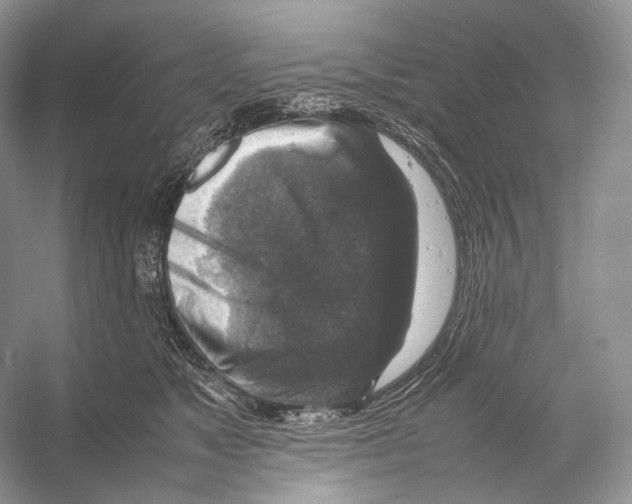 X0000053130517200508081321