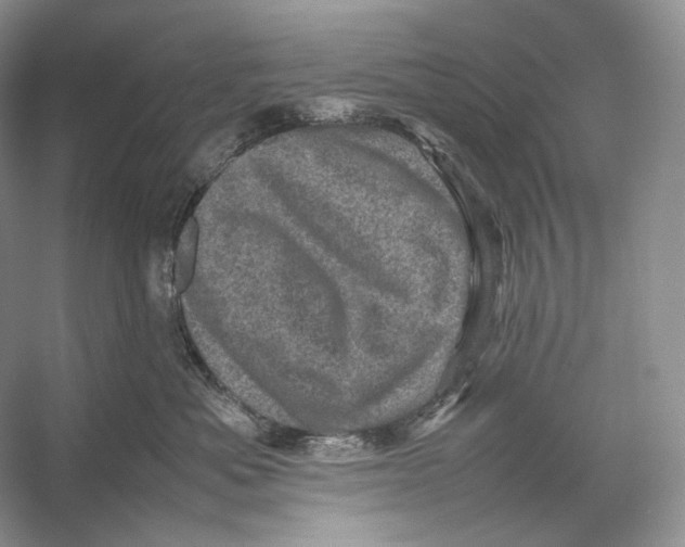 X0000053130525200508081321