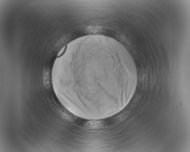 X0000053130526200508081321