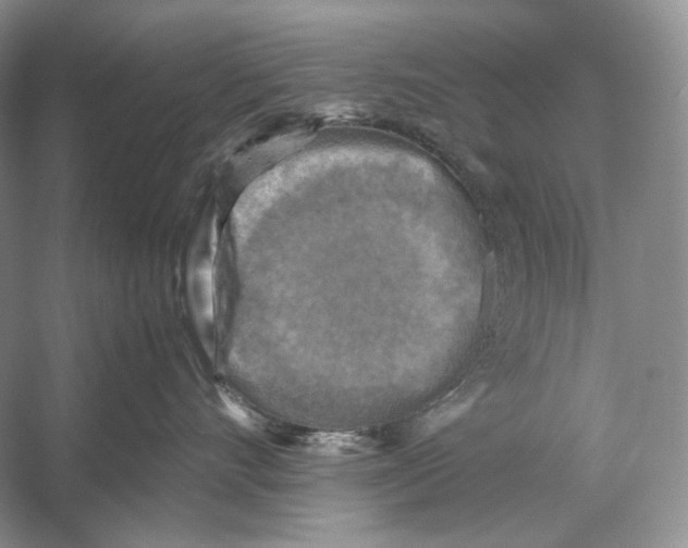 X0000053130528200508081321