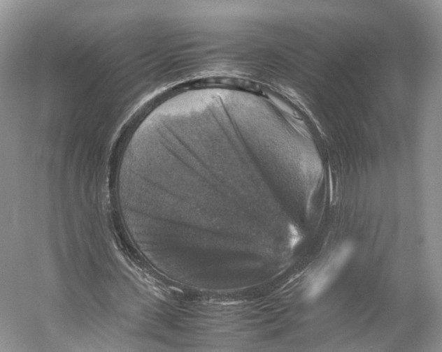 X0000053130531200508081320