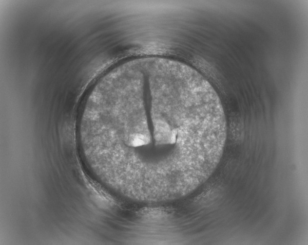 X0000053130534200508081320
