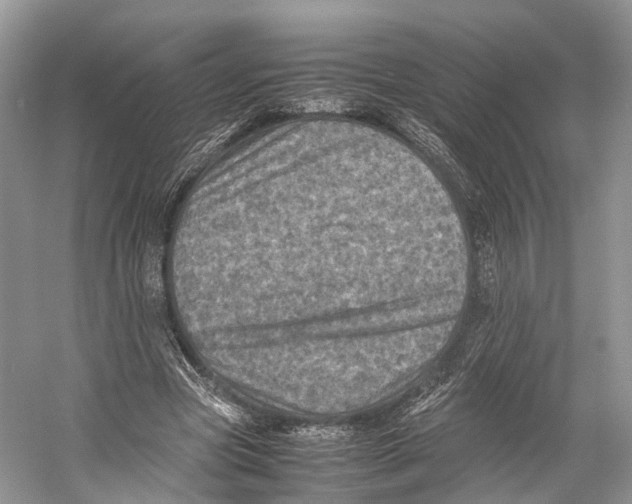 X0000053130537200508081320