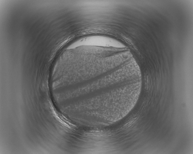 X0000053130538200508081320