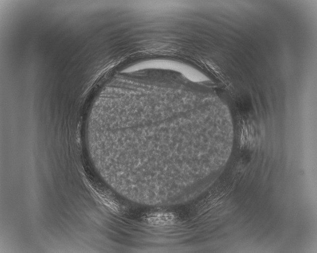 X0000053130543200508081320