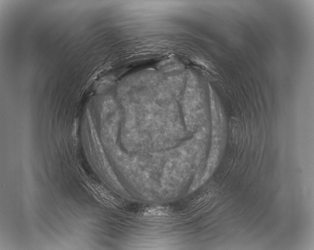 X0000053130550200508081321