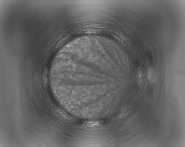X0000053130554200508081321