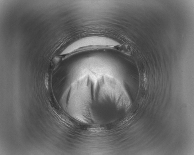 X0000053130556200508081321