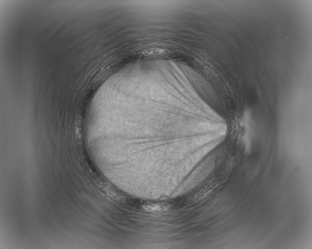 X0000053130561200508081321