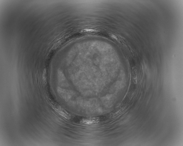 X0000053130563200508081321