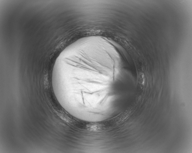 X0000053130564200508081321