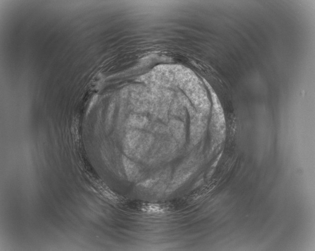 X0000053130565200508081321
