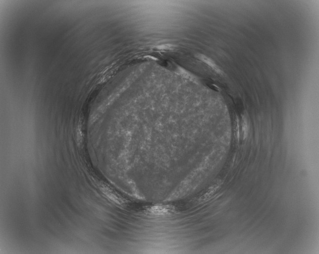 X0000053130566200508081321