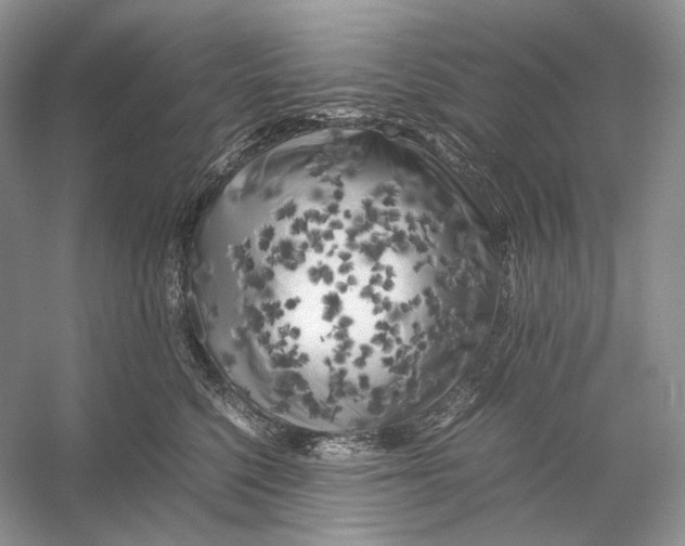 X0000053130568200508081321