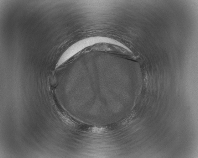 X0000053130570200508081321