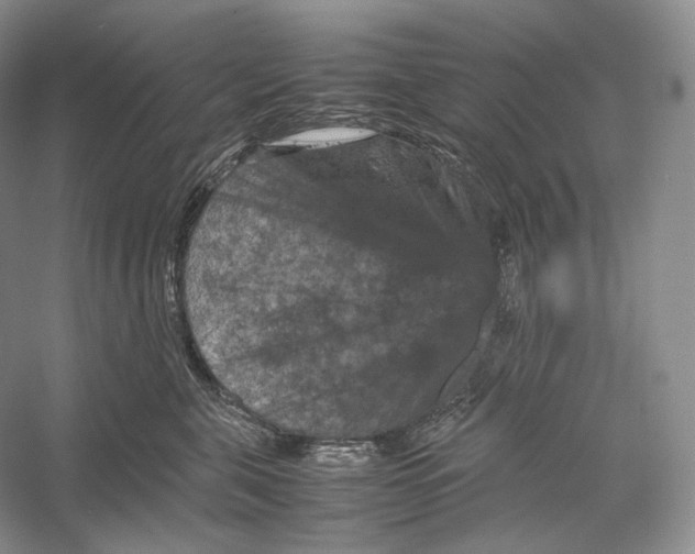 X0000053130571200508081321