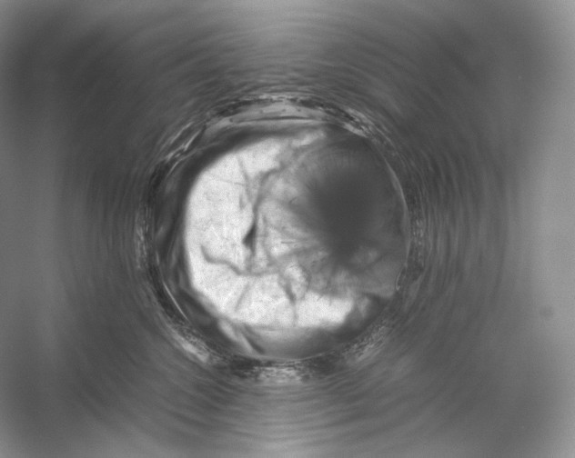 X0000053130572200508081321