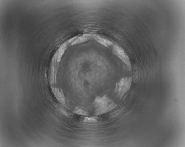 X0000053130573200508081321