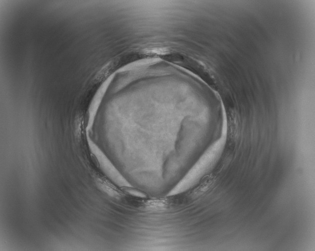 X0000053130574200508081321