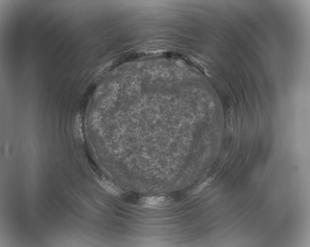 X0000053130575200508081321