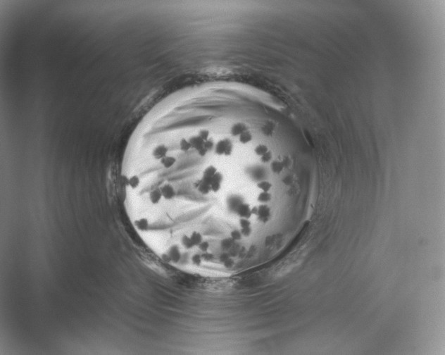 X0000053130576200508081321