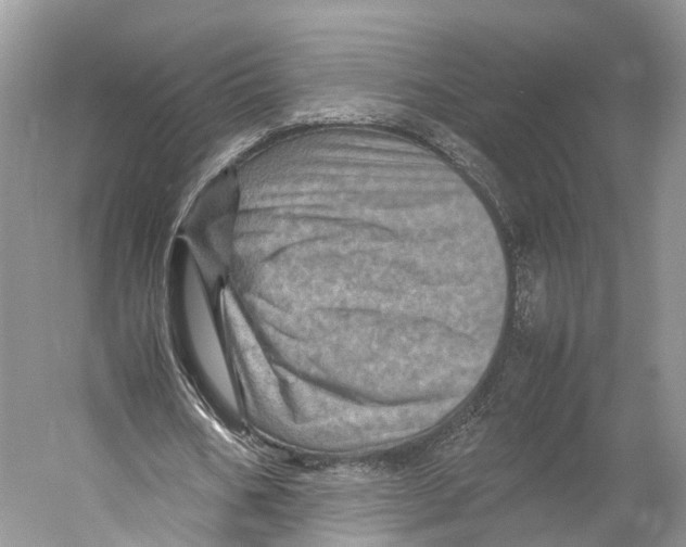 X0000053130578200508081320