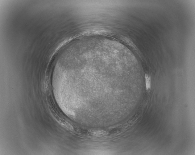 X0000053130579200508081320