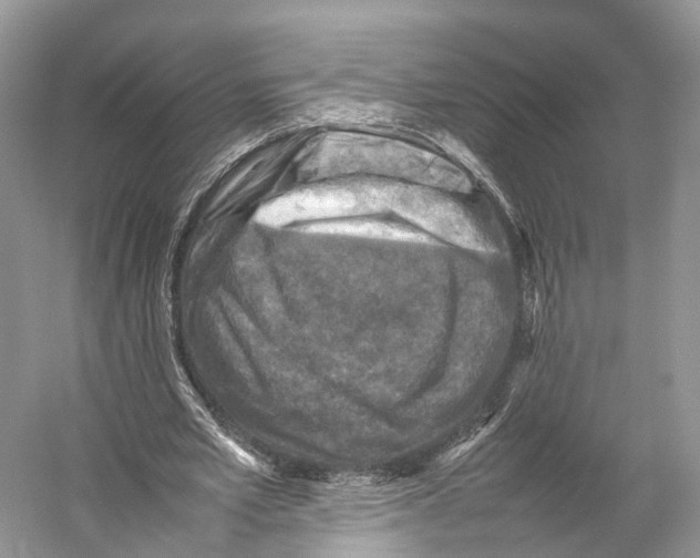 X0000053130581200508081320