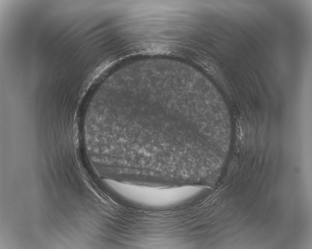 X0000053130584200508081320