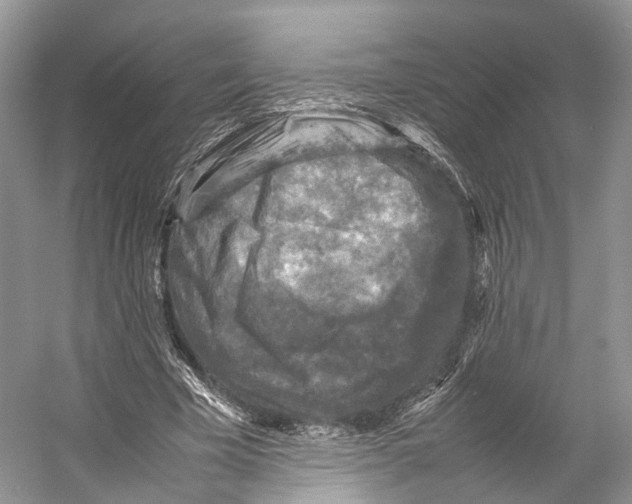 X0000053130585200508081320