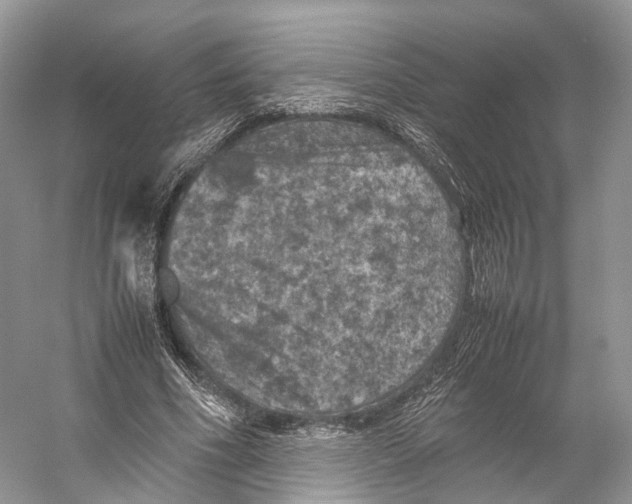 X0000053130586200508081320
