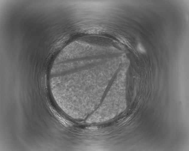 X0000053130589200508081320